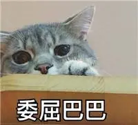 slot 999 online Kucing itu sepertinya merasakan bahwa Yun Ruogu mengeluarkannya untuk melampiaskan amarahnya